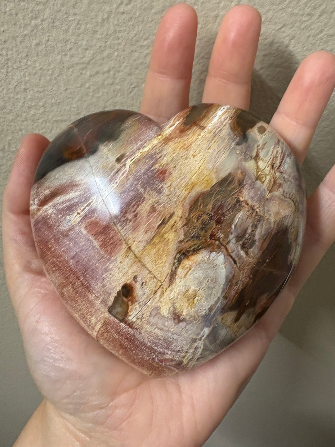 Petrified Wood Heart