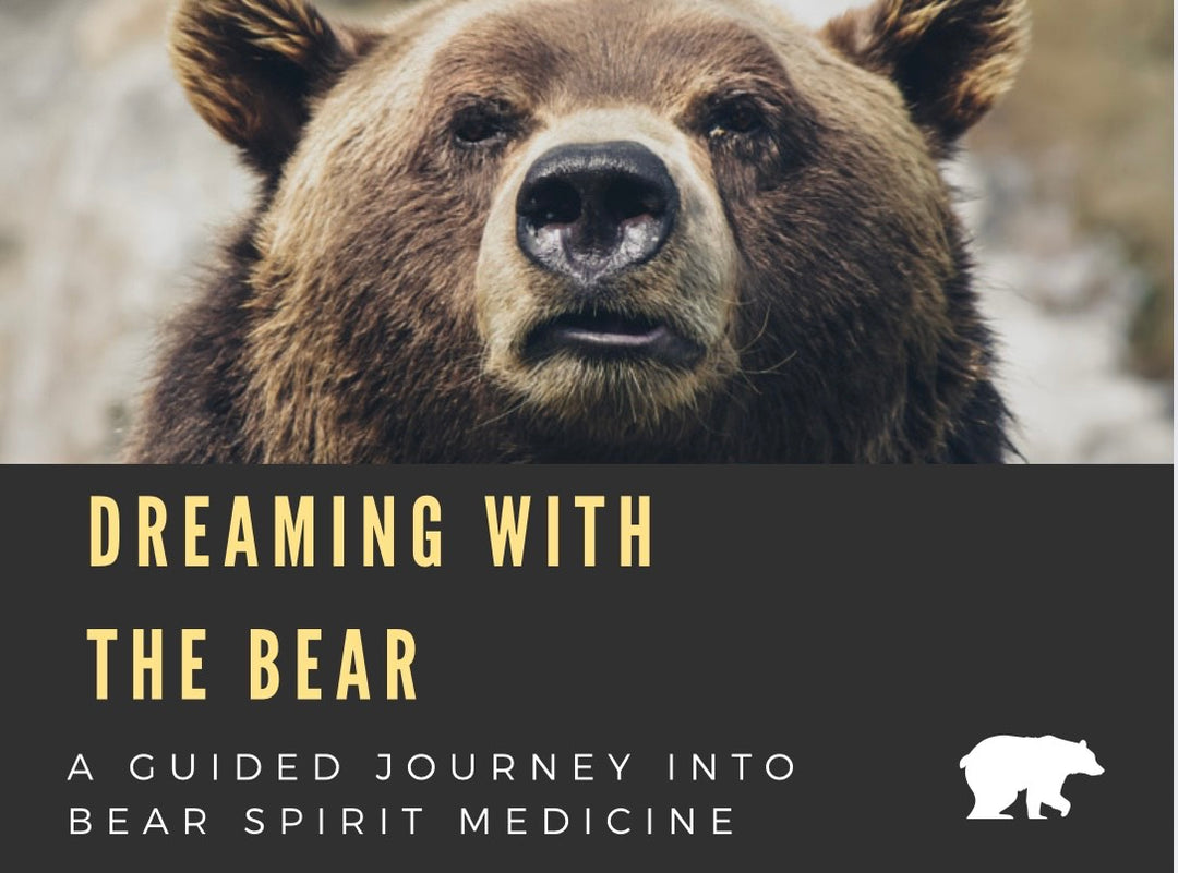 š» Dreaming with the Bear: A Guided Journey into Bear Spirit Medicine